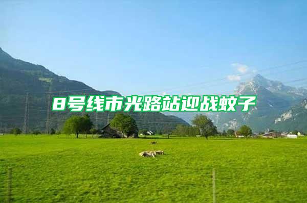 8號(hào)線市光路站迎戰(zhàn)蚊子