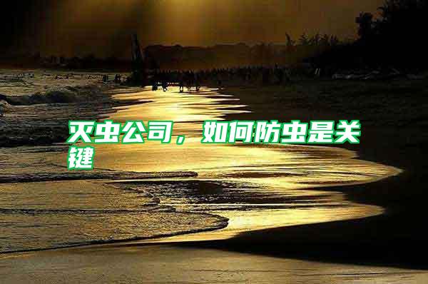 滅蟲公司，如何防蟲是關(guān)鍵