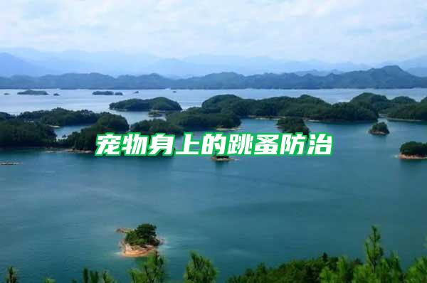 寵物身上的跳蚤防治