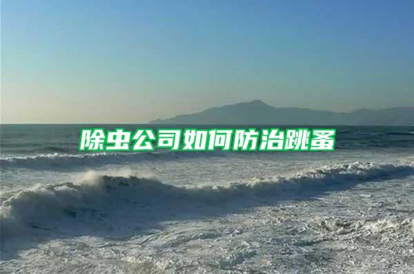 除蟲公司如何防治跳蚤