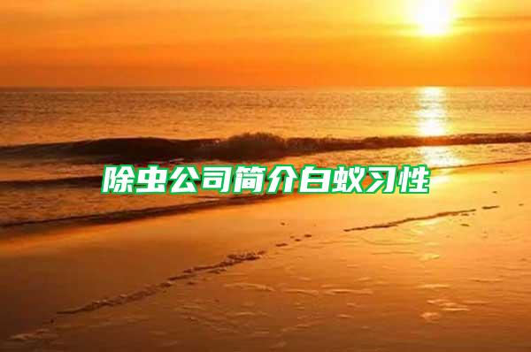 除蟲公司簡介白蟻習性