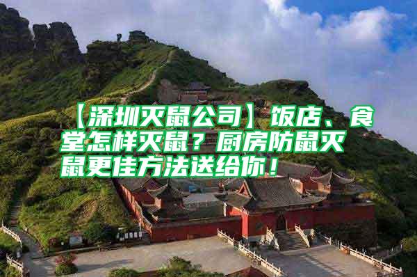 【深圳滅鼠公司】飯店、食堂怎樣滅鼠？廚房防鼠滅鼠更佳方法送給你！