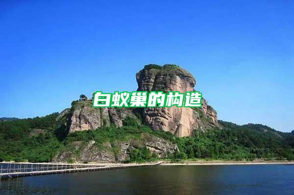 白蟻巢的構(gòu)造