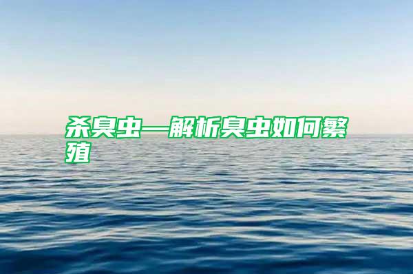 殺臭蟲—解析臭蟲如何繁殖