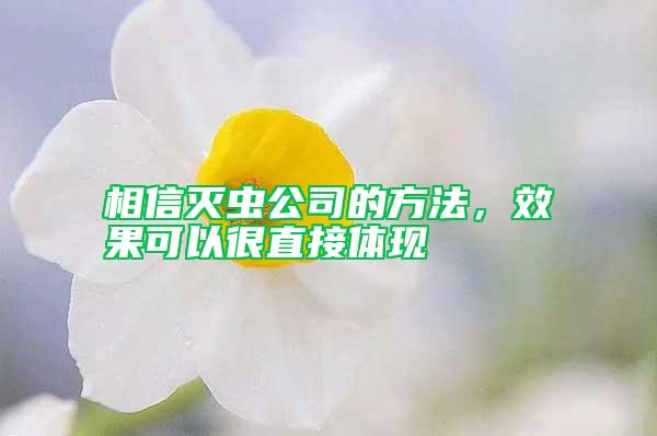 相信滅蟲公司的方法，效果可以很直接體現(xiàn)
