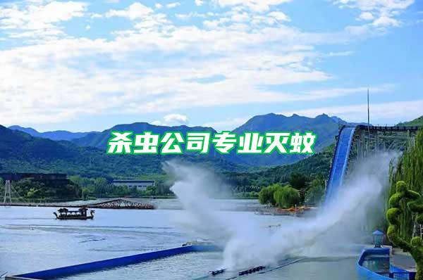 殺蟲公司專業滅蚊