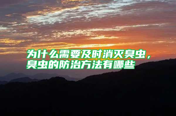 為什么需要及時(shí)消滅臭蟲，臭蟲的防治方法有哪些