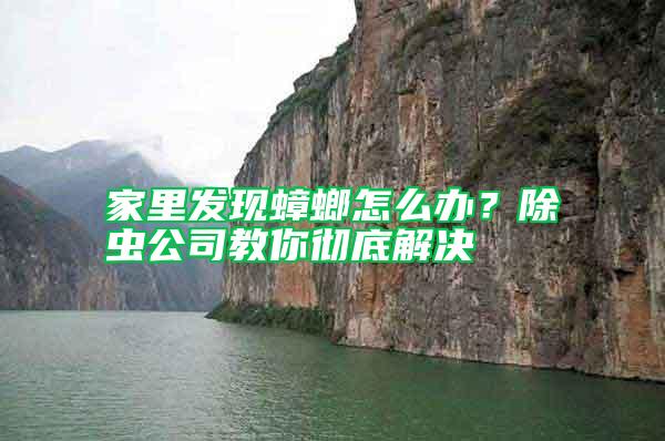 家里發現蟑螂怎么辦？除蟲公司教你徹底解決