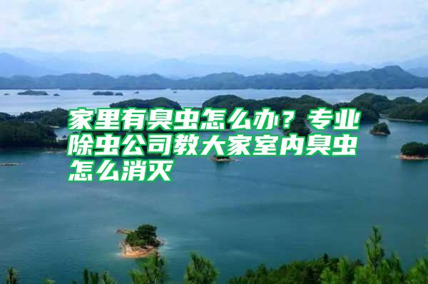 家里有臭蟲怎么辦？專業除蟲公司教大家室內臭蟲怎么消滅