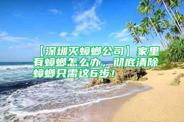 【深圳滅蟑螂公司】家里有蟑螂怎么辦，徹底清除蟑螂只需這6步！