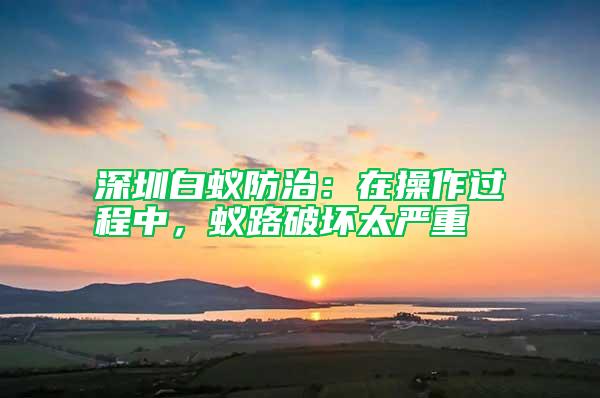 深圳白蟻防治：在操作過程中，蟻路破壞太嚴(yán)重