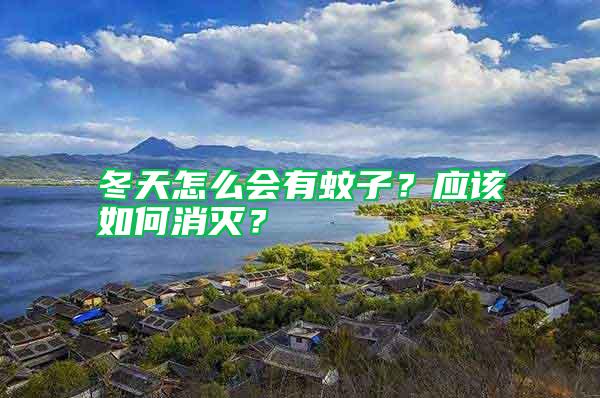 冬天怎么會有蚊子？應(yīng)該如何消滅？