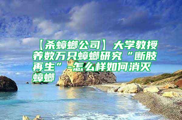 【殺蟑螂公司】大學(xué)教授養(yǎng)數(shù)萬只蟑螂研究“斷肢再生”-怎么樣如何消滅蟑螂