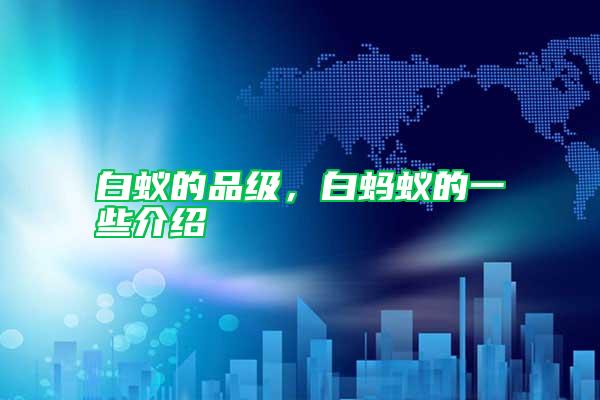白蟻的品級，白螞蟻的一些介紹