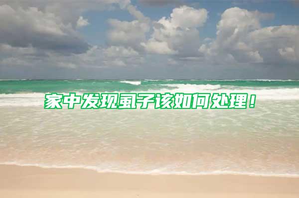 家中發現虱子該如何處理！