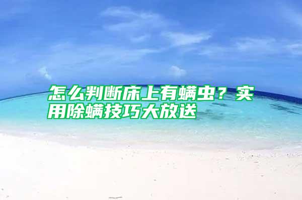 怎么判斷床上有螨蟲？實用除螨技巧大放送