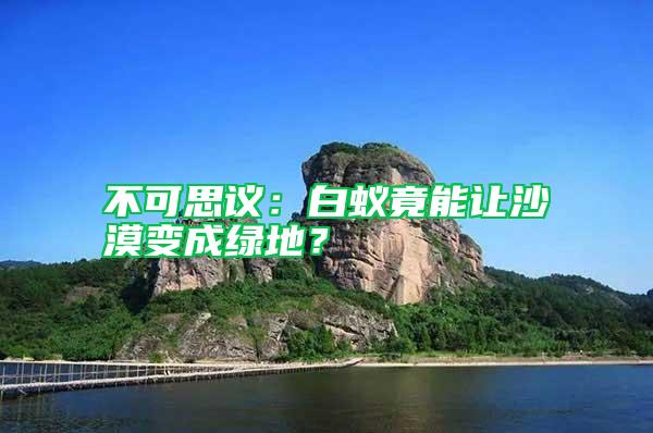 不可思議：白蟻竟能讓沙漠變成綠地？
