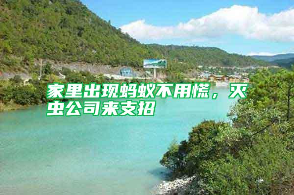 家里出現(xiàn)螞蟻不用慌，滅蟲公司來(lái)支招