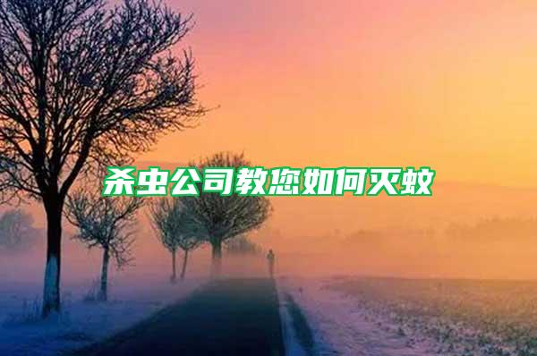 殺蟲公司教您如何滅蚊
