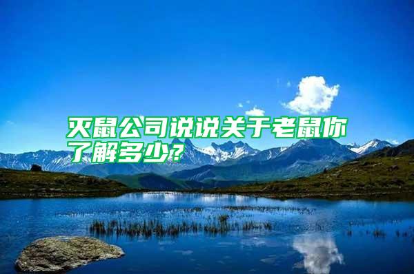 滅鼠公司說說關(guān)于老鼠你了解多少？