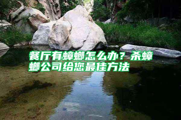 餐廳有蟑螂怎么辦？殺蟑螂公司給您最佳方法