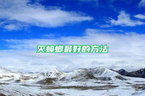 滅蟑螂最好的方法