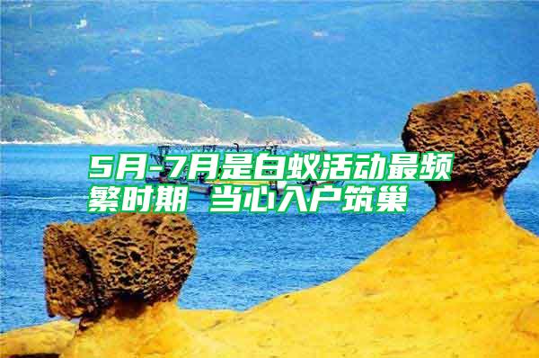 5月-7月是白蟻活動(dòng)最頻繁時(shí)期 當(dāng)心入戶筑巢