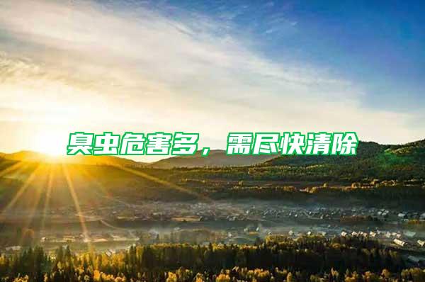 臭蟲危害多，需盡快清除