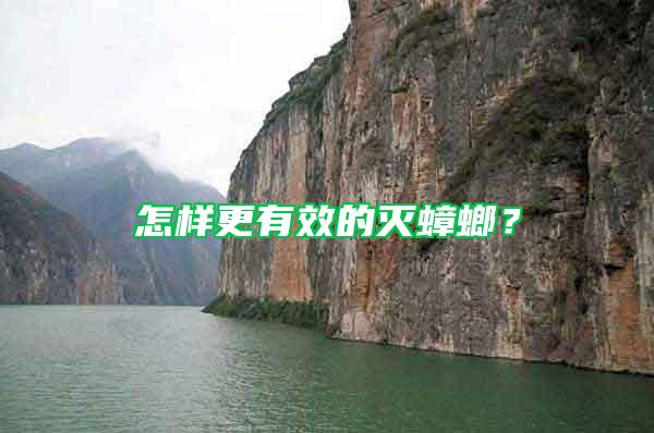 怎樣更有效的滅蟑螂?