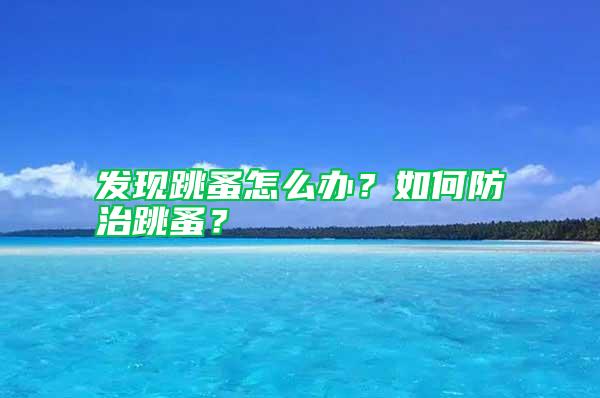 發現跳蚤怎么辦？如何防治跳蚤？