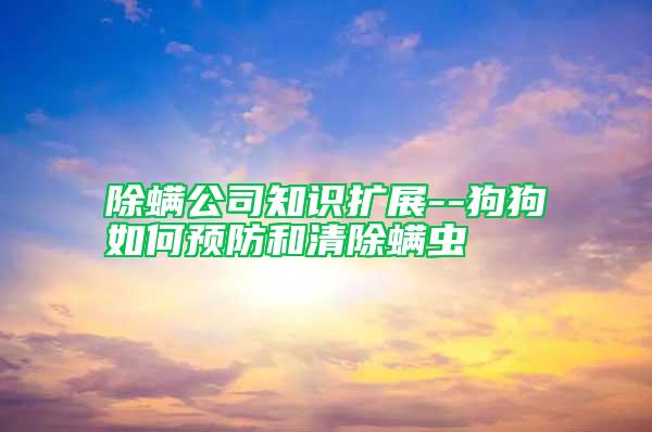 除螨公司知識擴(kuò)展--狗狗如何預(yù)防和清除螨蟲