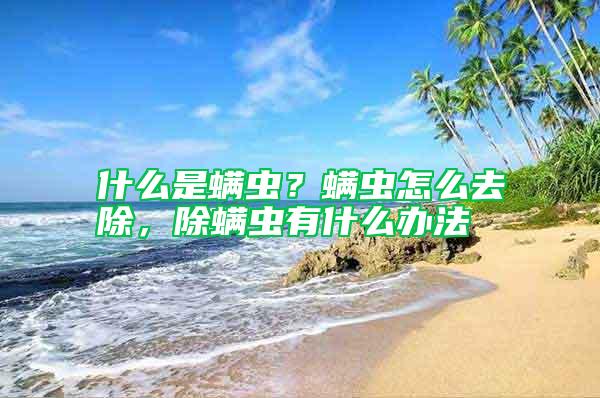 什么是螨蟲？螨蟲怎么去除，除螨蟲有什么辦法