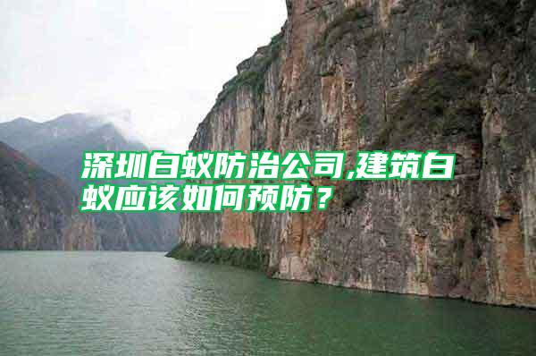 深圳白蟻防治公司,建筑白蟻應(yīng)該如何預防？