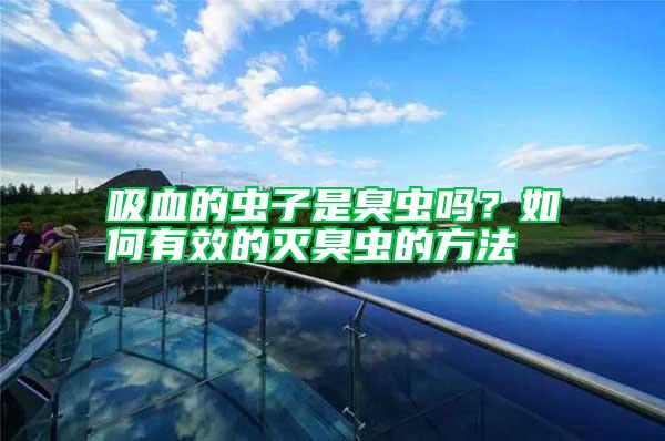 吸血的蟲子是臭蟲嗎？如何有效的滅臭蟲的方法