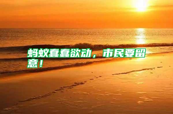 螞蟻蠢蠢欲動(dòng)，市民要留意！