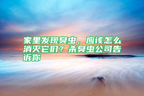 家里發現臭蟲，應該怎么消滅它們？殺臭蟲公司告訴你