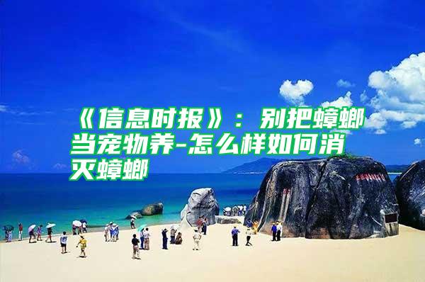 《信息時報》：別把蟑螂當寵物養(yǎng)-怎么樣如何消滅蟑螂