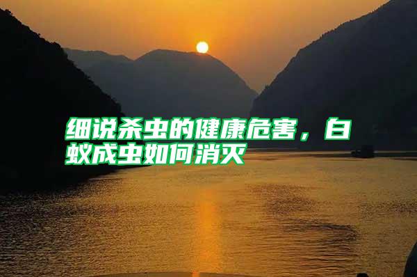 細(xì)說殺蟲的健康危害，白蟻成蟲如何消滅