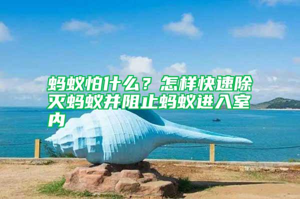 螞蟻怕什么？怎樣快速除滅螞蟻并阻止螞蟻進入室內