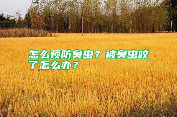 怎么預防臭蟲？被臭蟲咬了怎么辦？