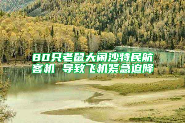80只老鼠大鬧沙特民航客機(jī) 導(dǎo)致飛機(jī)緊急迫降
