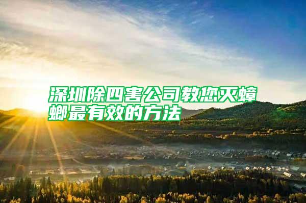 深圳除四害公司教您滅蟑螂最有效的方法