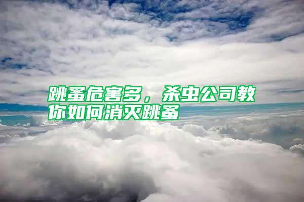 跳蚤危害多，殺蟲公司教你如何消滅跳蚤