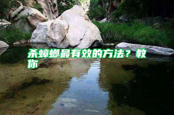 殺蟑螂最有效的方法？教你