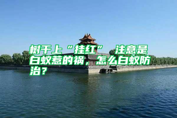 樹(shù)干上“掛紅” 注意是白蟻惹的禍，怎么白蟻防治？