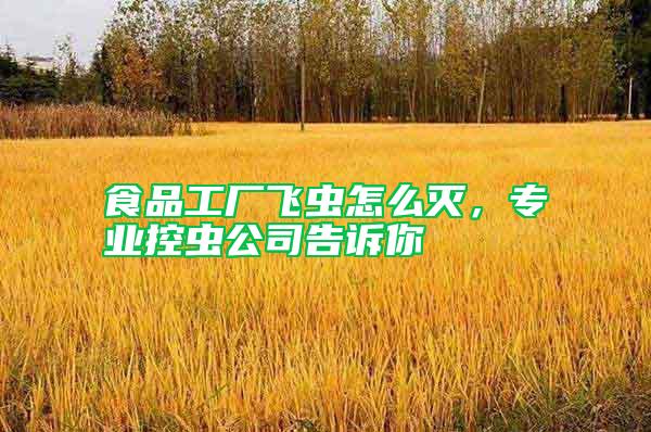 食品工廠飛蟲怎么滅，專業(yè)控蟲公司告訴你