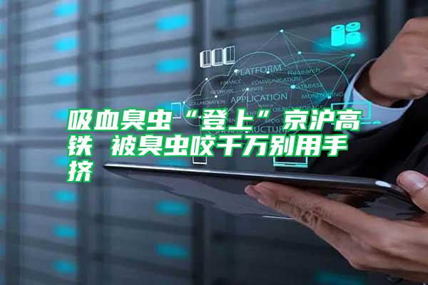 吸血臭蟲(chóng)“登上”京滬高鐵 被臭蟲(chóng)咬千萬(wàn)別用手?jǐn)D