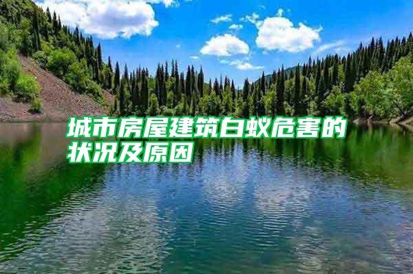 城市房屋建筑白蟻危害的狀況及原因