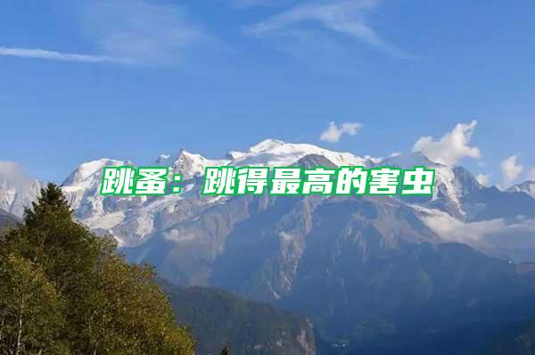 跳蚤：跳得最高的害蟲(chóng)