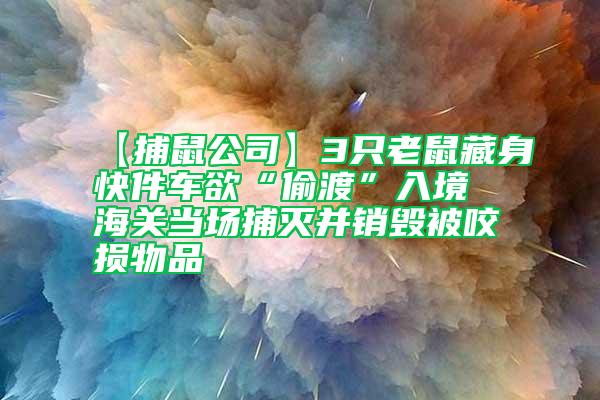 【捕鼠公司】3只老鼠藏身快件車欲“偷渡”入境 海關(guān)當(dāng)場(chǎng)捕滅并銷毀被咬損物品